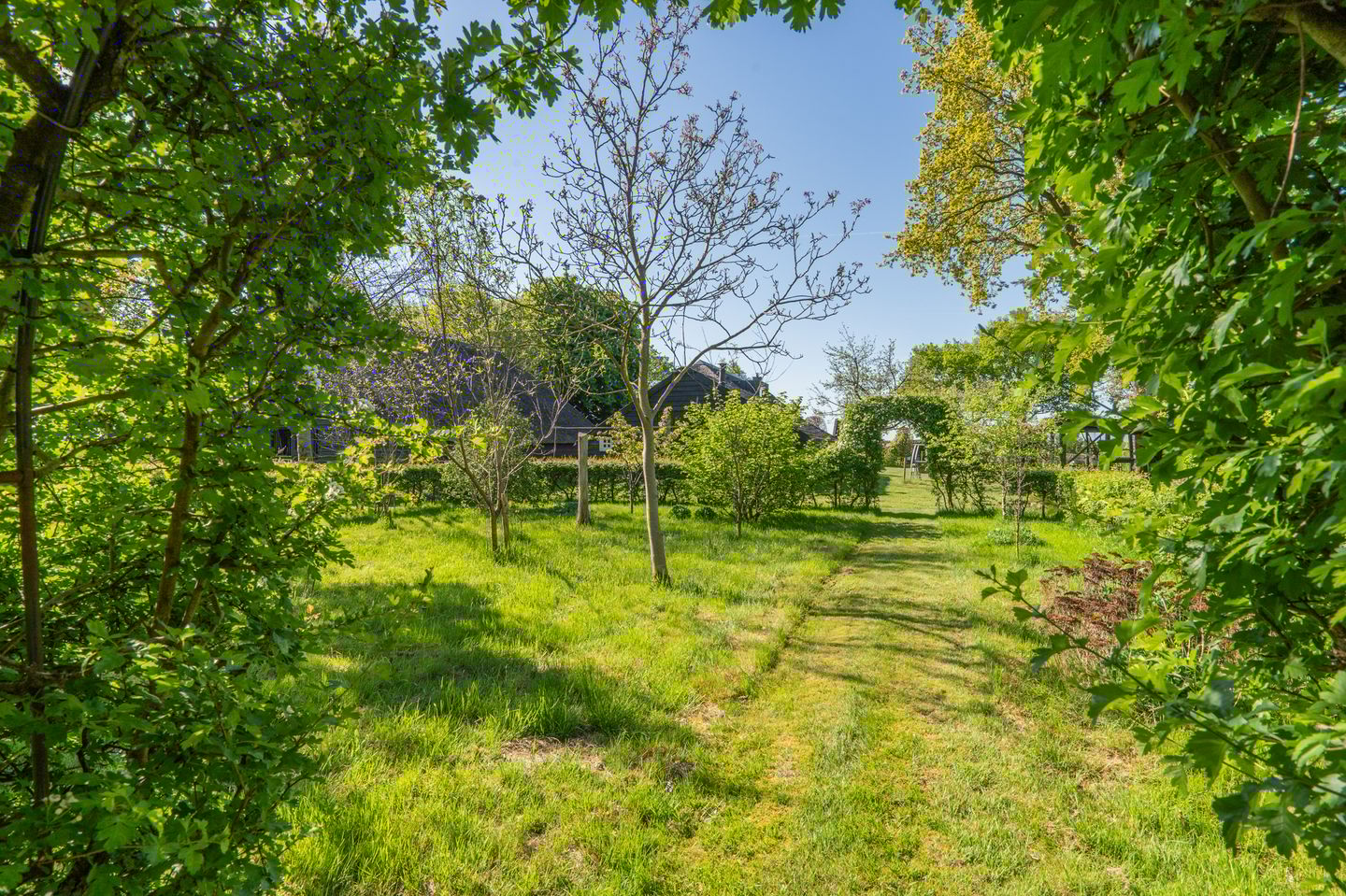 Foto 85 van Zeijerstroeten 22