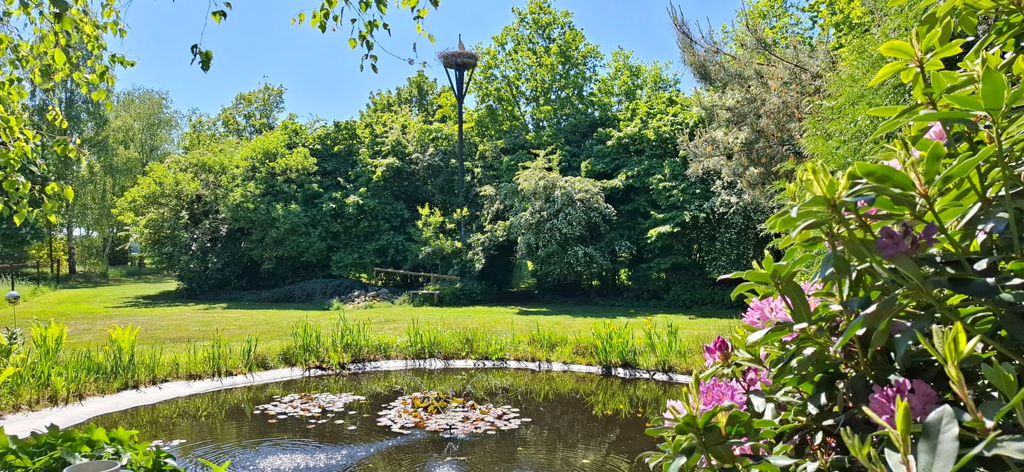 Foto 80 van Zeijerstroeten 22