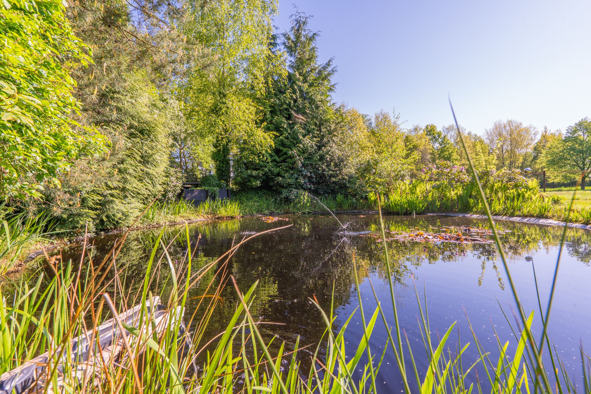 Foto 78 van Zeijerstroeten 22