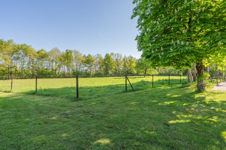 Photo 81 of Zeijerstroeten 22