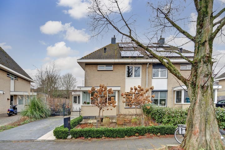 Foto 30 van Prinsenweer 50