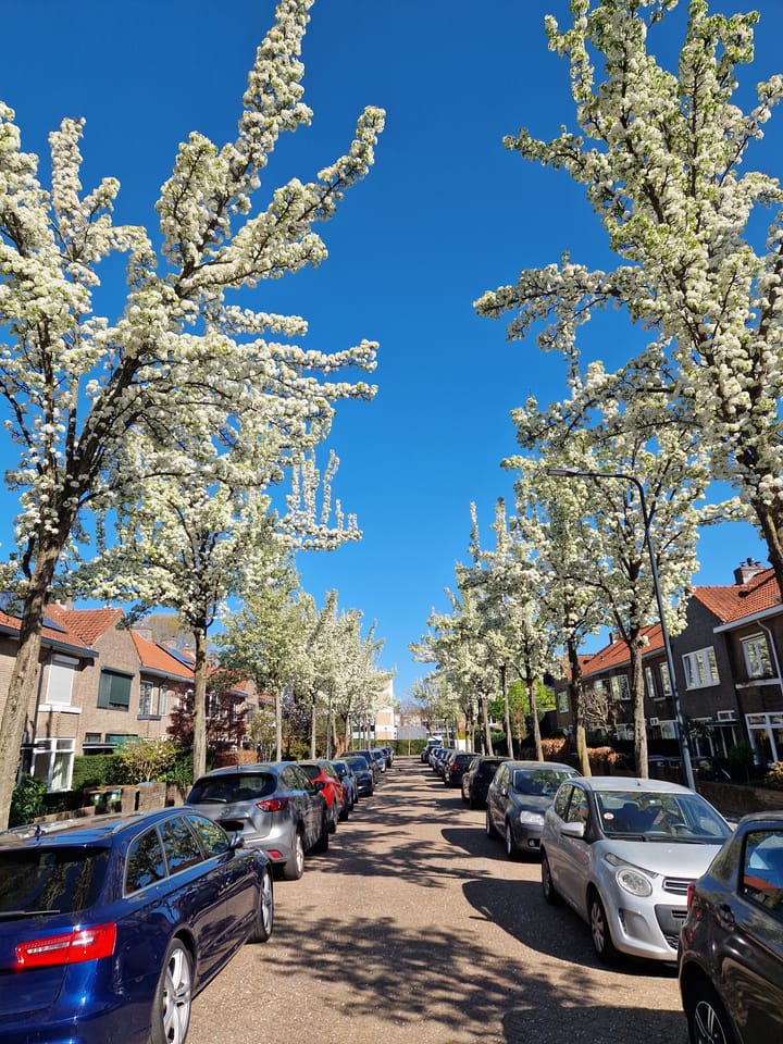 Foto 41 van Sikkelstraat 41