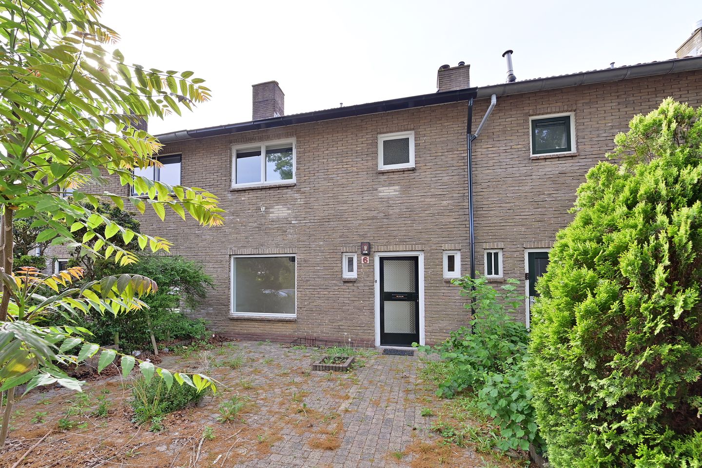 P.M.R. Versteeghstraat 6 main image