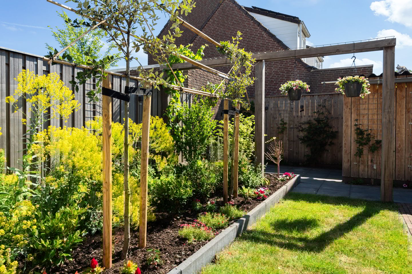 Photo 40 of Braamhorst 50