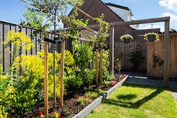 Foto 40 van Braamhorst 50