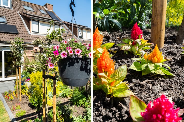 Foto 45 van Braamhorst 50