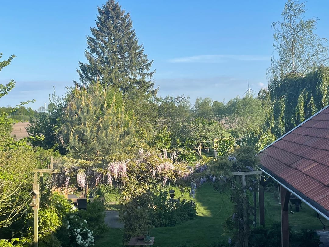 Photo 47 of Broek 50