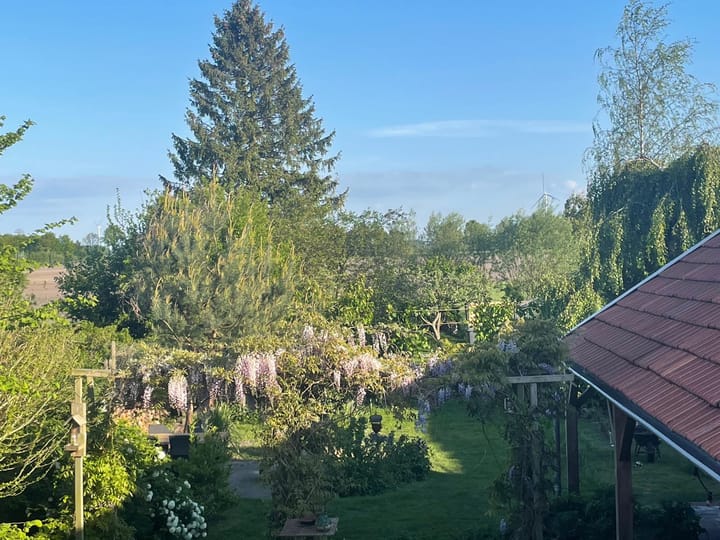 Photo 47 of Broek 50