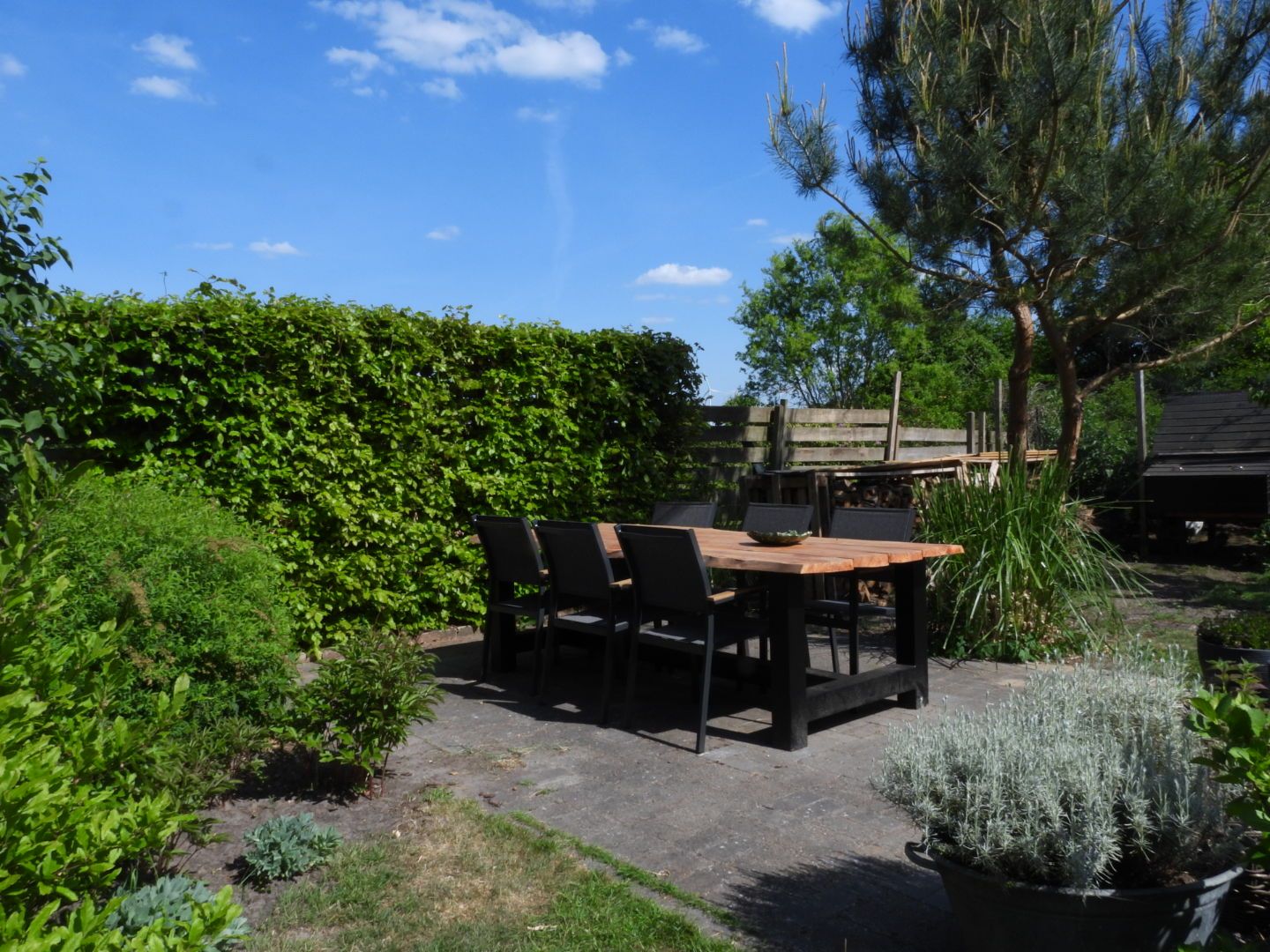 Photo 54 of Broek 50