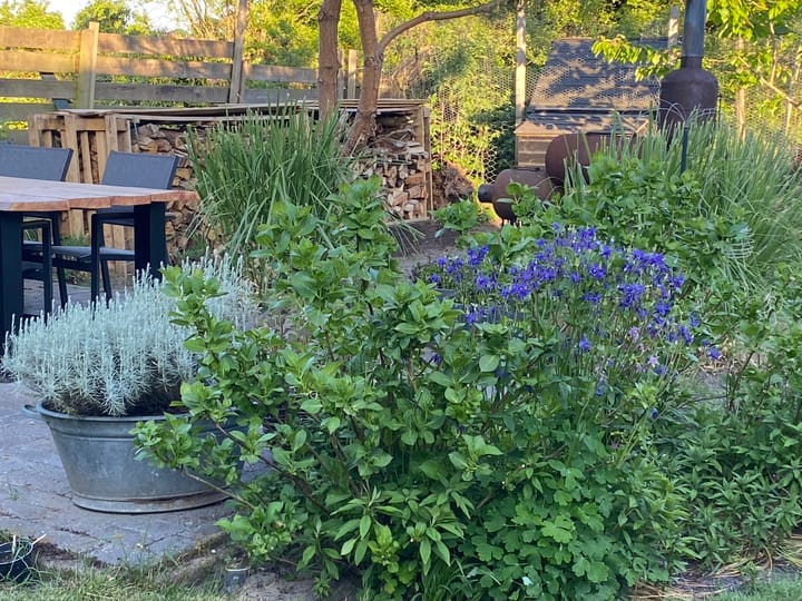 Photo 55 of Broek 50