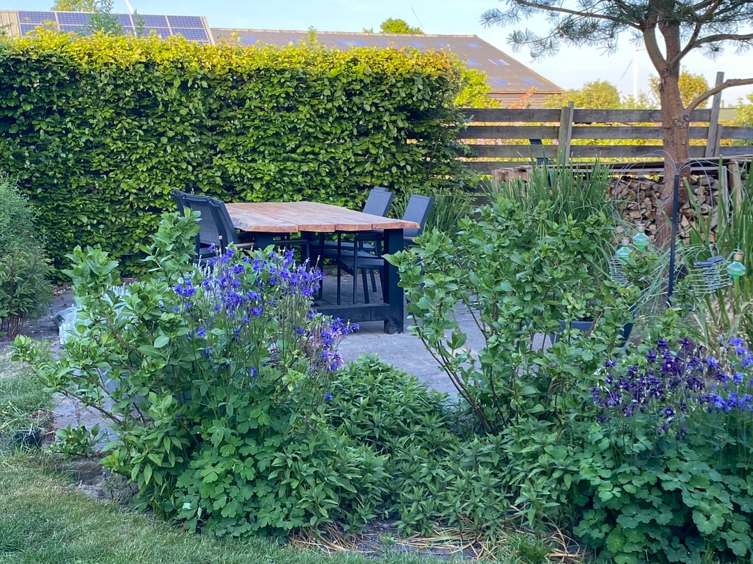 Photo 56 of Broek 50