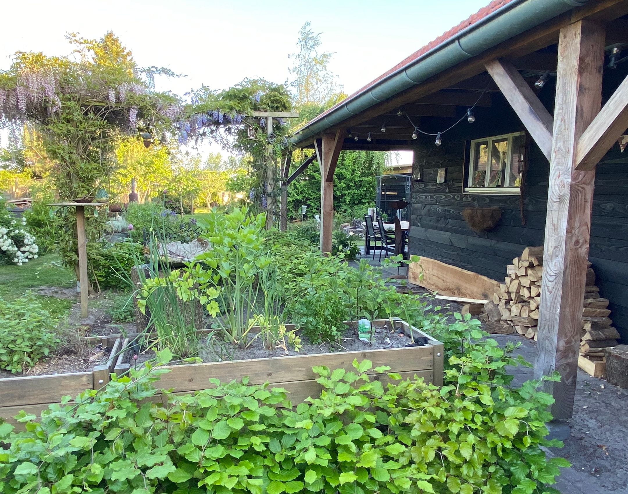 Photo 57 of Broek 50