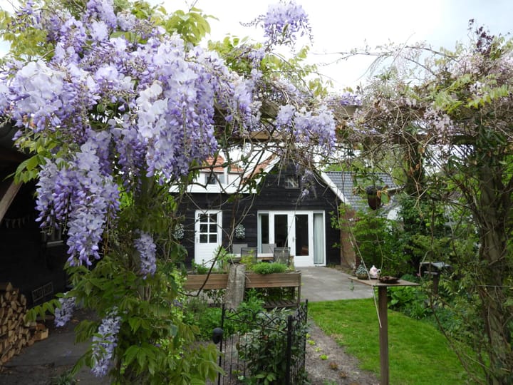 Photo 59 of Broek 50