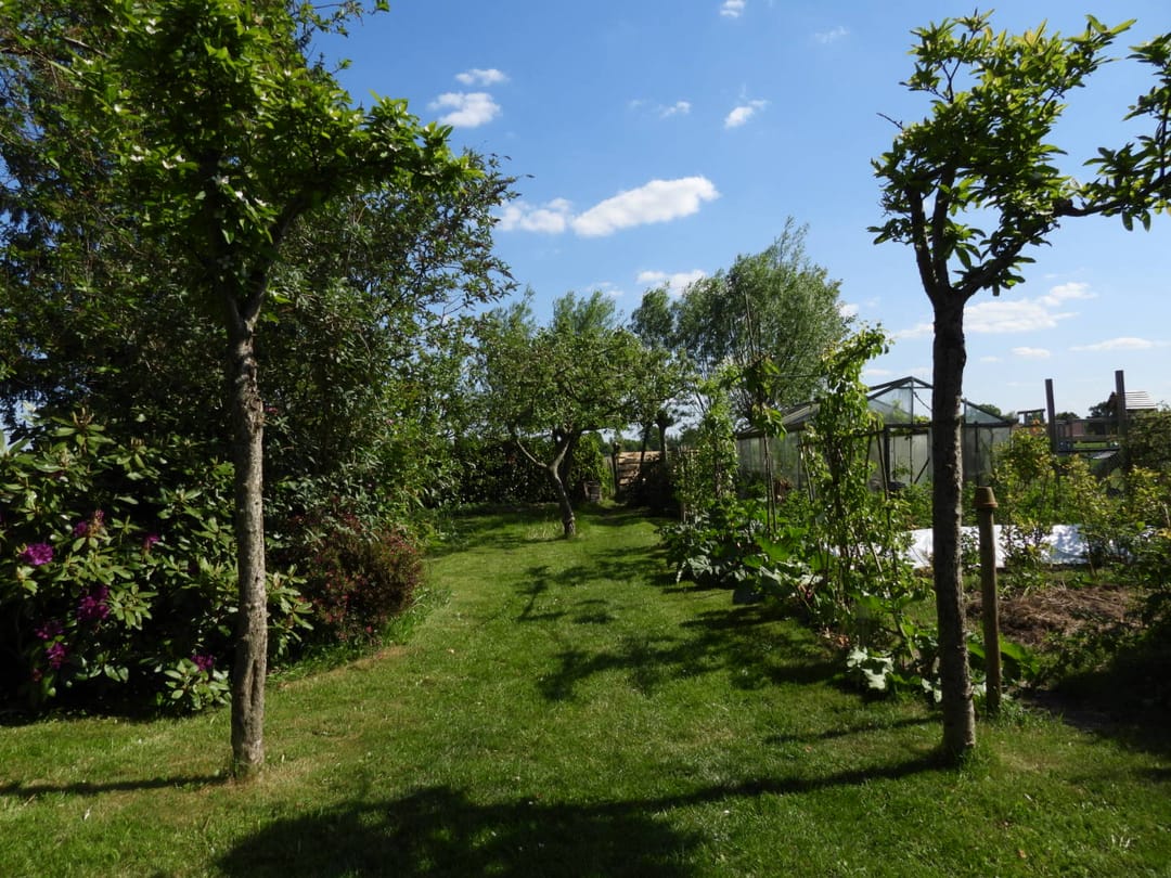 Photo 62 of Broek 50