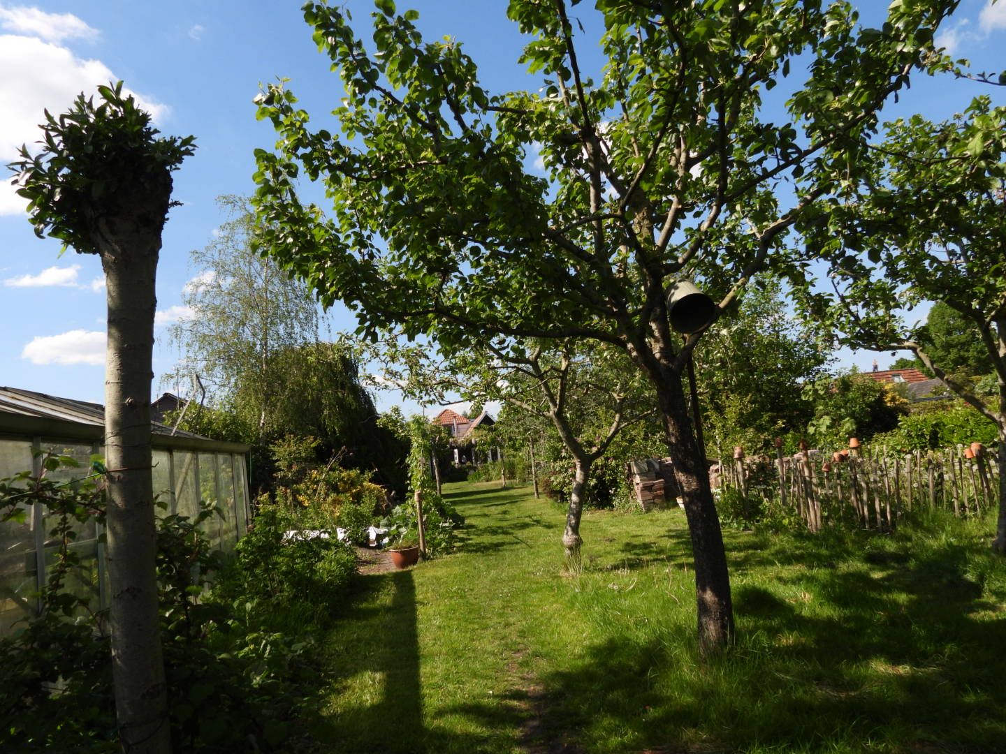 Photo 63 of Broek 50