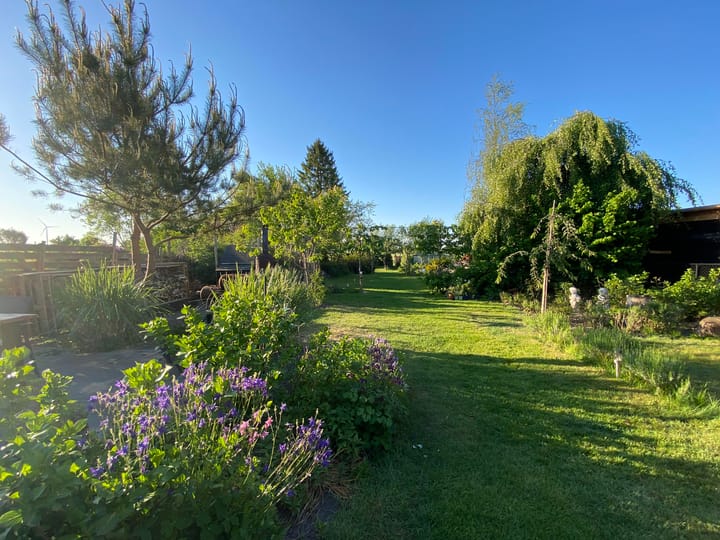 Photo 64 of Broek 50