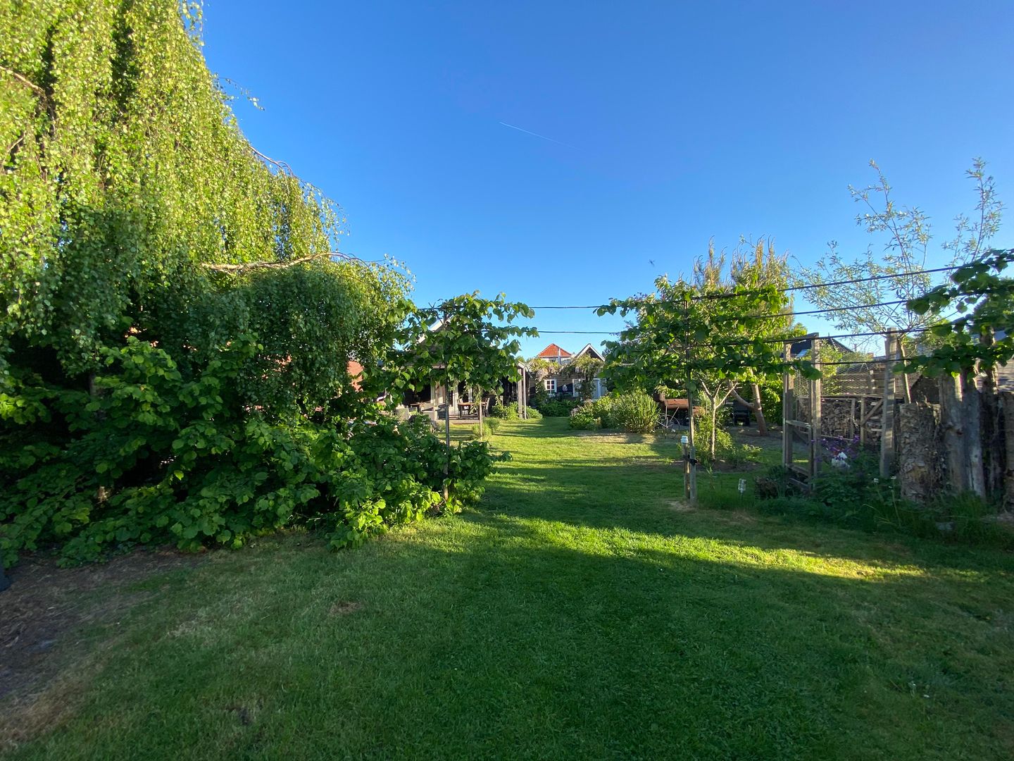 Photo 65 of Broek 50