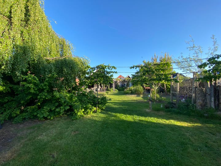 Photo 65 of Broek 50