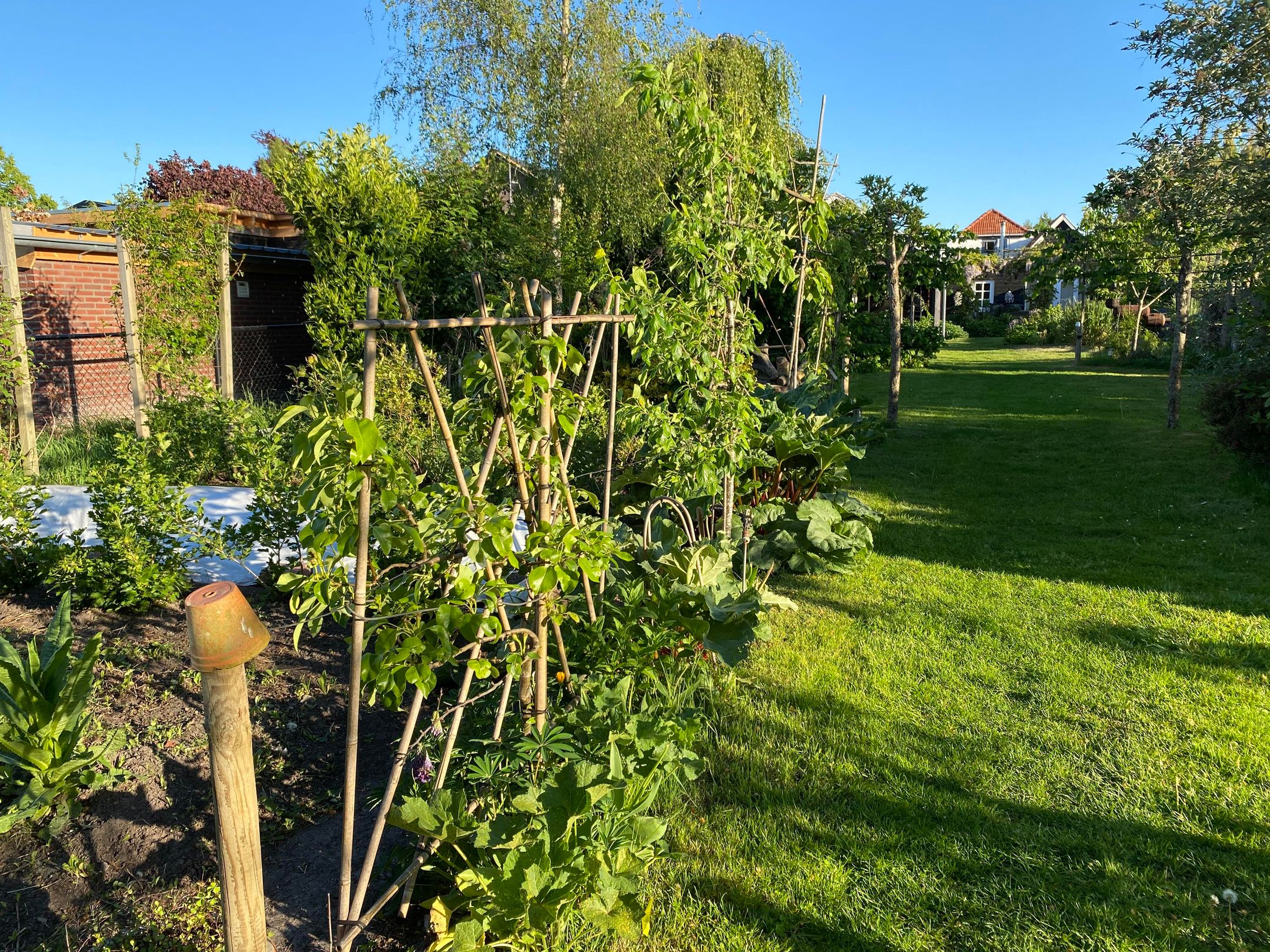 Photo 66 of Broek 50