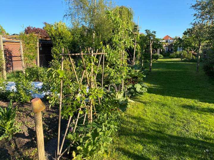 Photo 66 of Broek 50