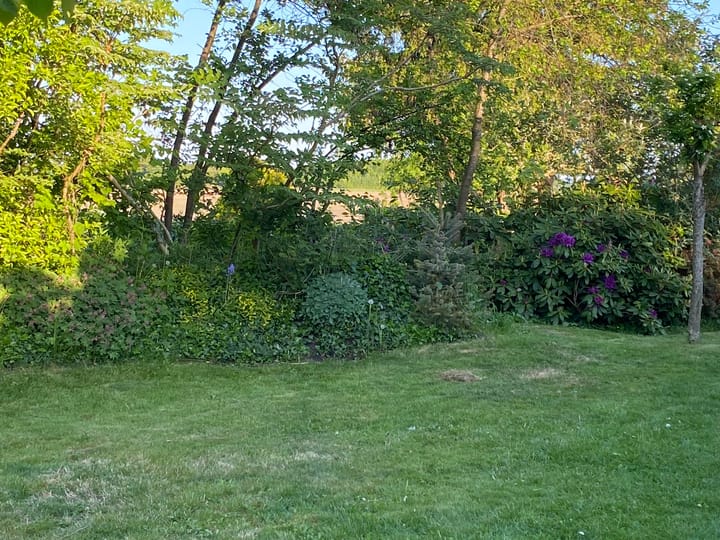 Photo 67 of Broek 50