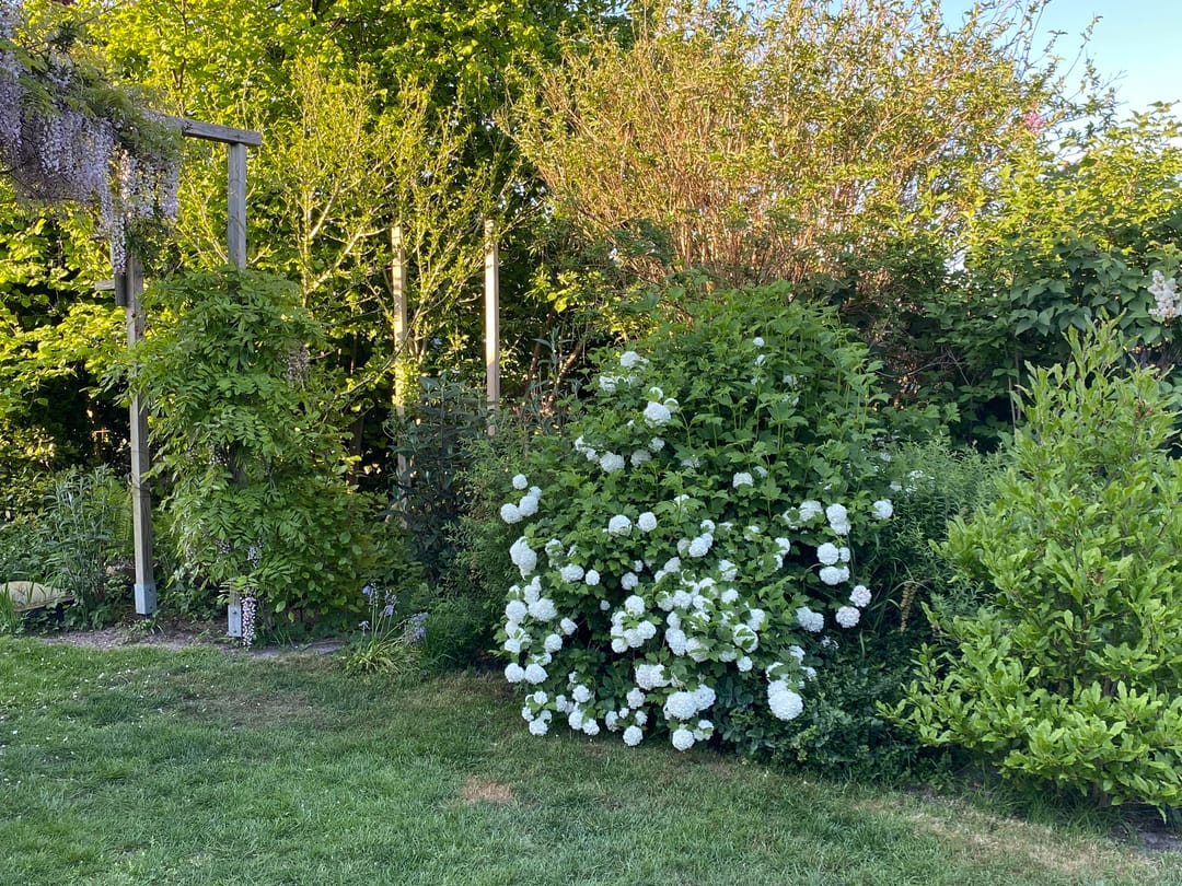 Photo 68 of Broek 50