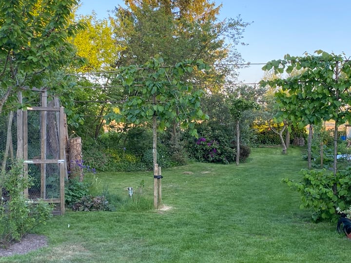 Photo 69 of Broek 50