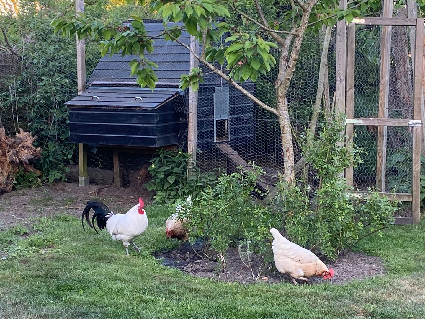 Photo 70 of Broek 50