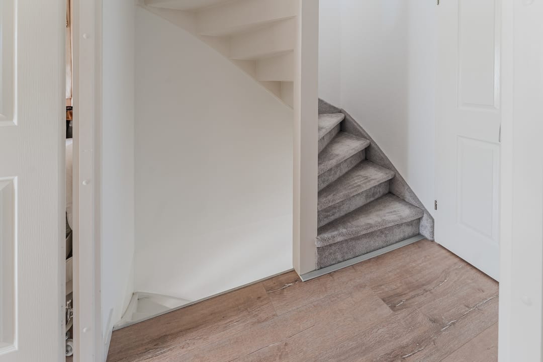 Photo 31 of Zomertaling 2