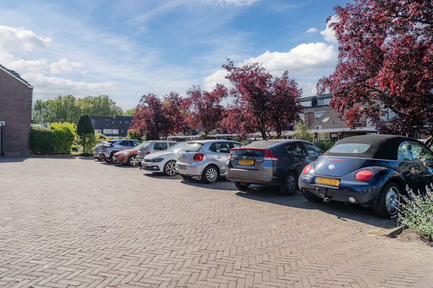 Photo 49 of Zomertaling 2