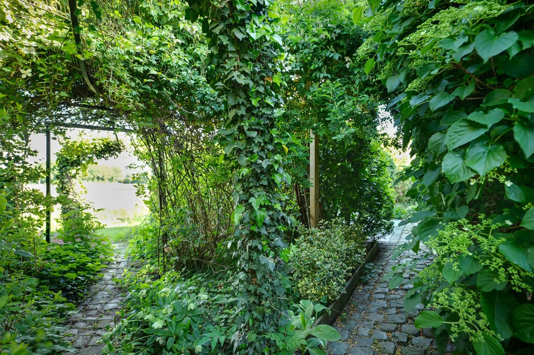 Photo 38 of Wilgenstraat 27