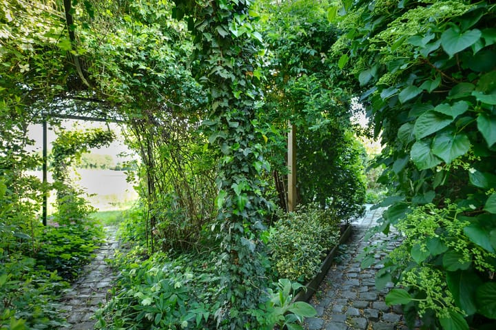 Foto 38 van Wilgenstraat 27