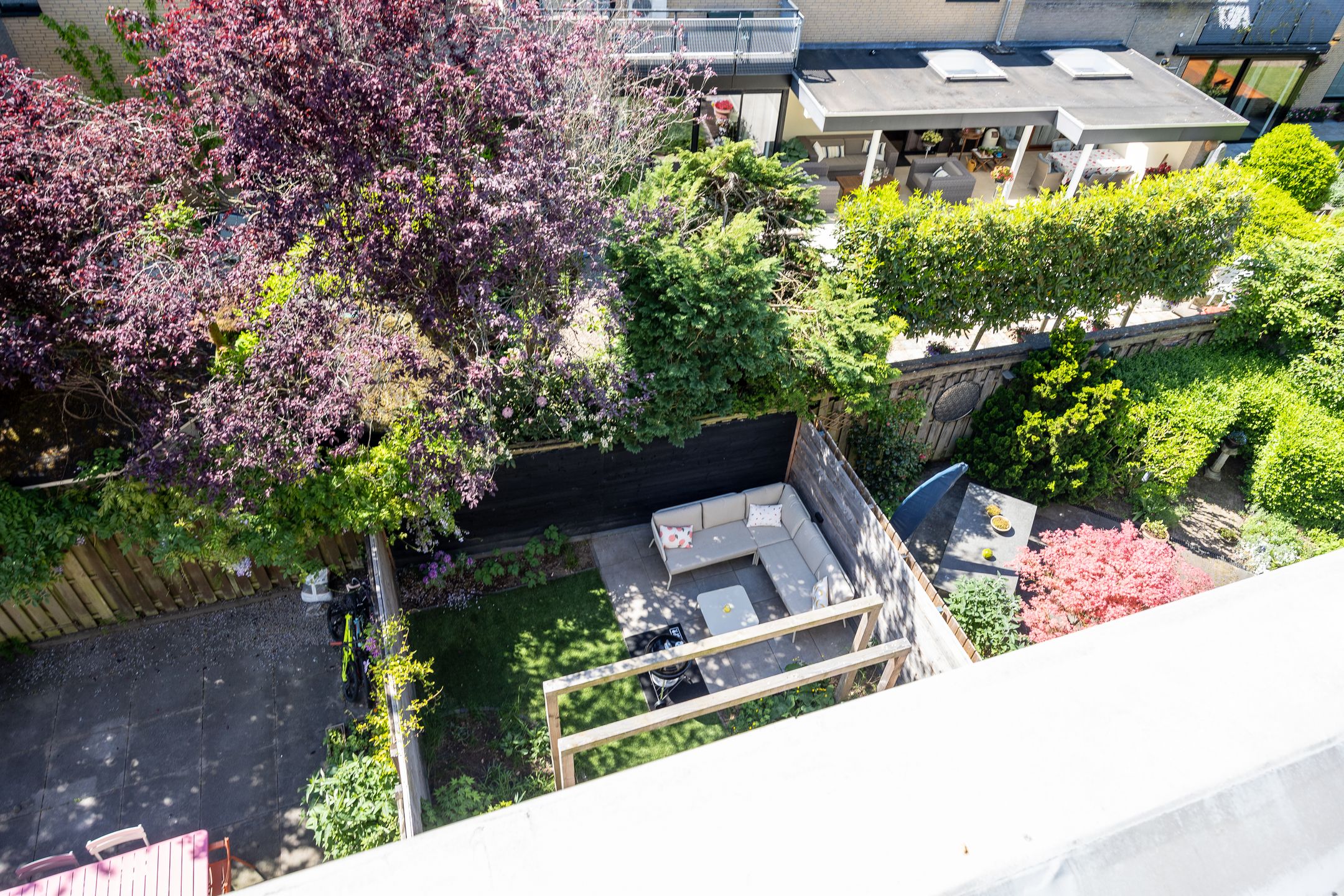 Foto 36 van Afrikaring 81