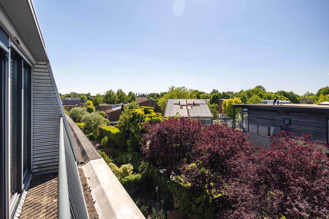 Foto 37 van Afrikaring 81