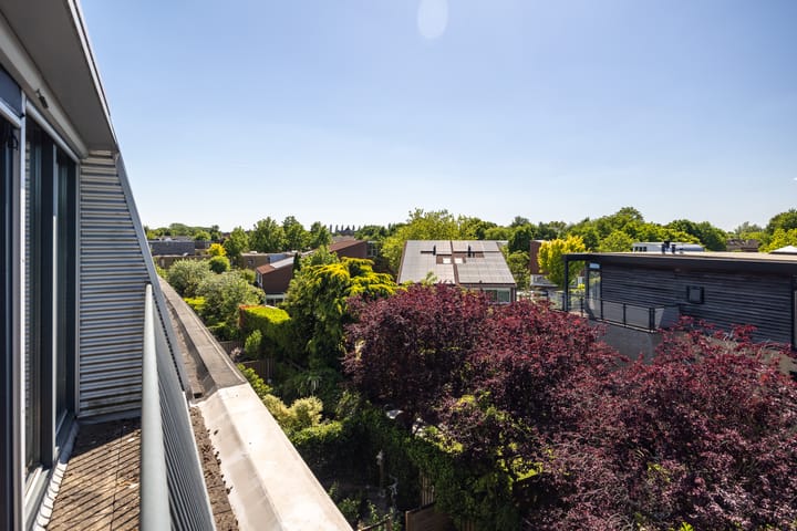 Foto 37 van Afrikaring 81