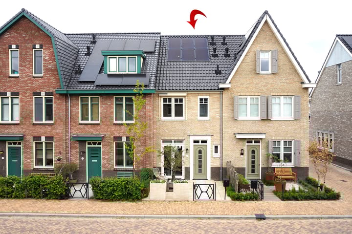 Foto 1 van Chrysanttuin 9