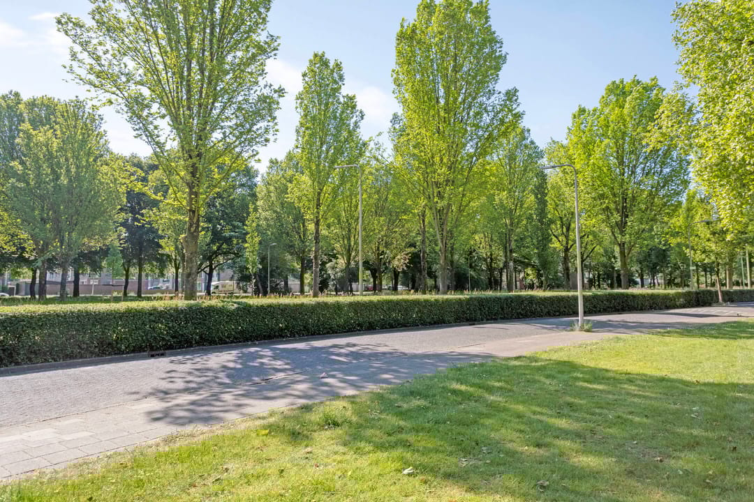 Foto 46 van Bellinistraat 58