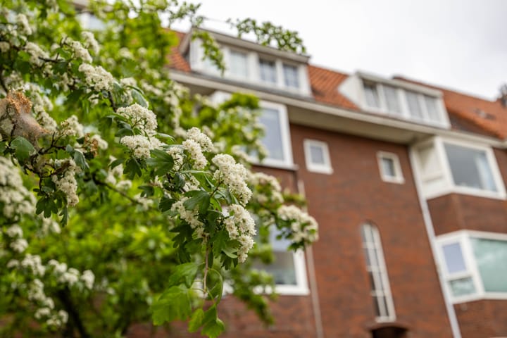 Foto 3 van Rijnstraat 5