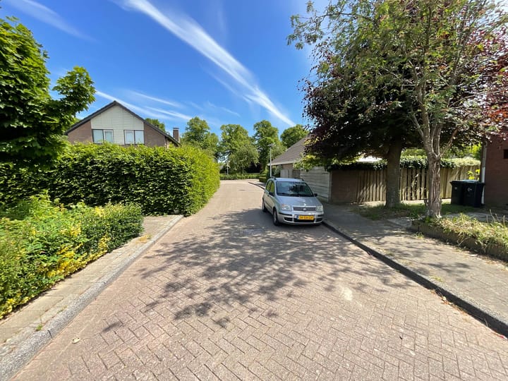 Foto 2 van Voetakker 1