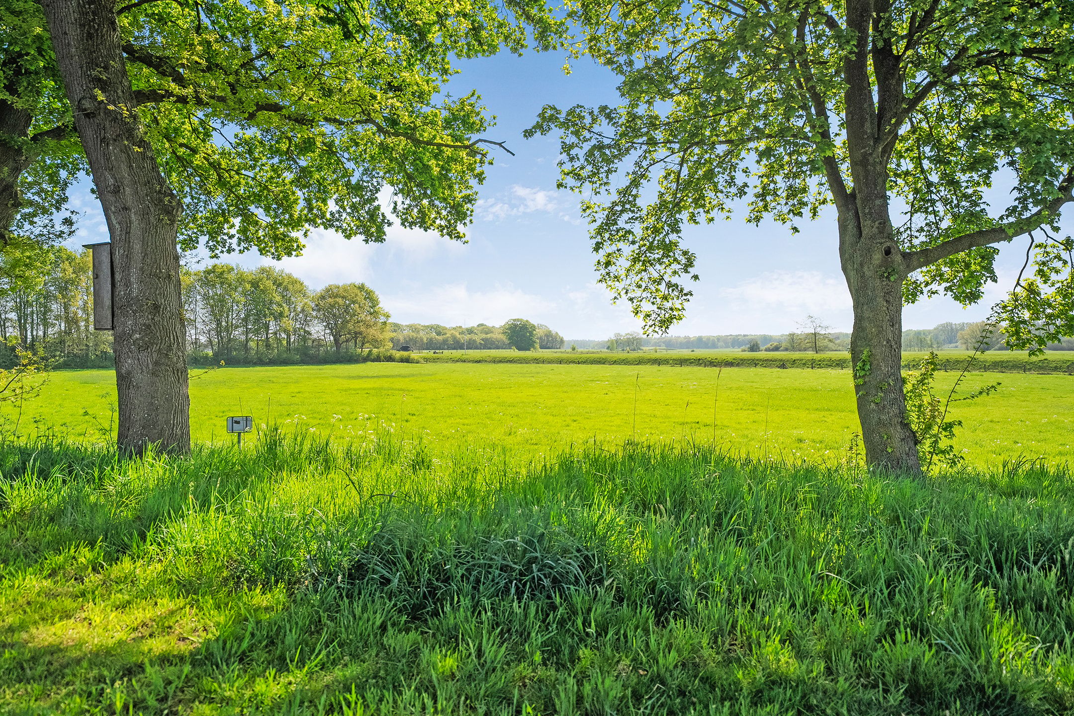 Photo 9 of v.Wassenaar v.Obdamstr. 3