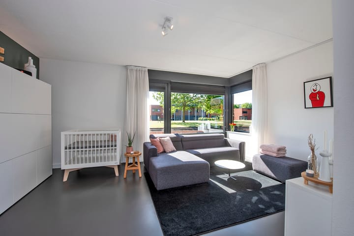 Foto 2 van Kokerjuffer 15