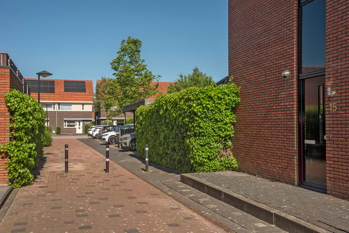 Foto 6 van Kokerjuffer 15