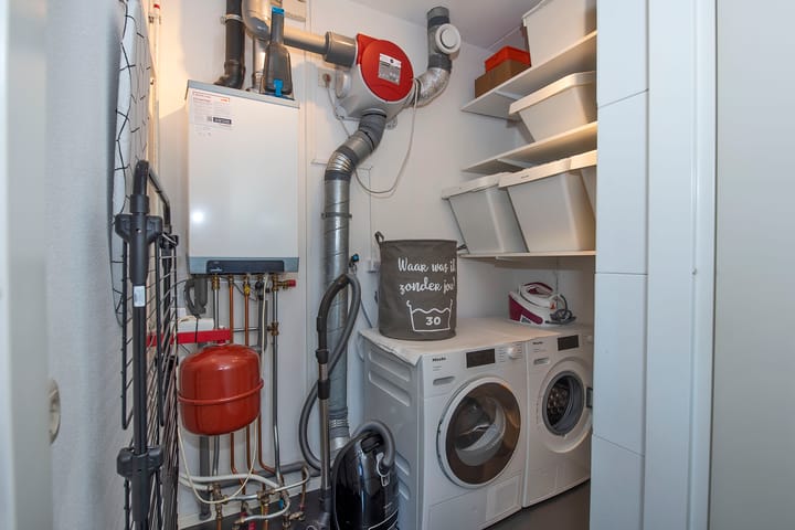 Foto 19 van Kokerjuffer 15