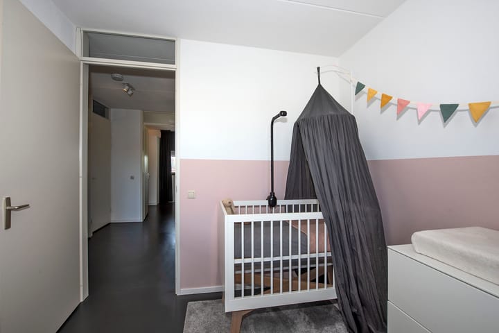 Foto 24 van Kokerjuffer 15