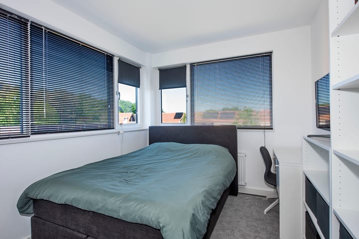 Foto 32 van Kokerjuffer 15