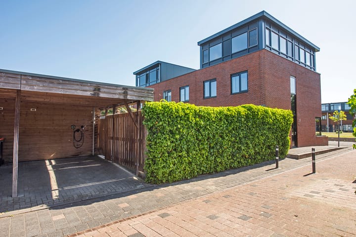 Foto 39 van Kokerjuffer 15