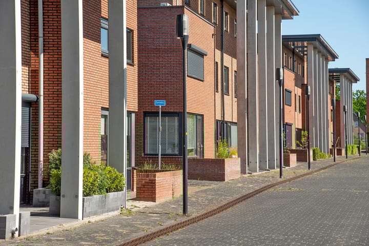 Foto 43 van Kokerjuffer 15