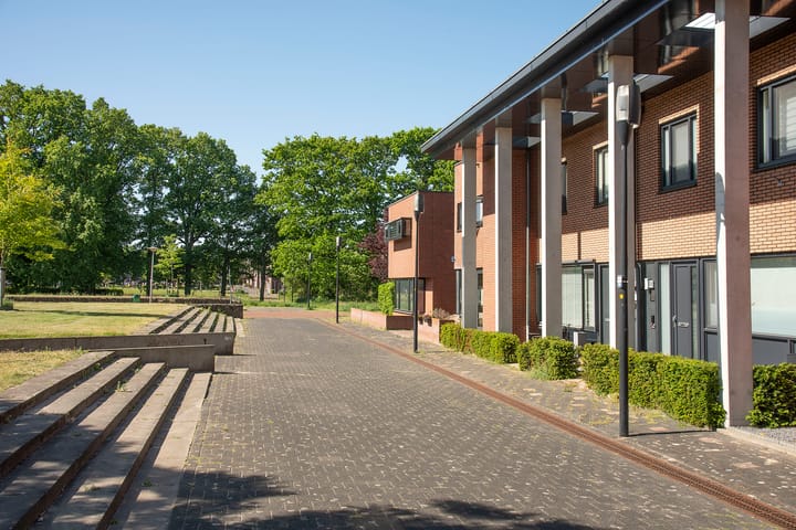 Foto 44 van Kokerjuffer 15