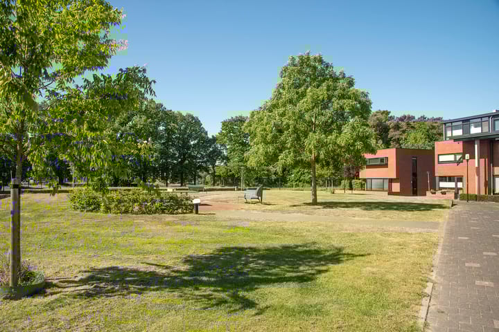 Foto 45 van Kokerjuffer 15