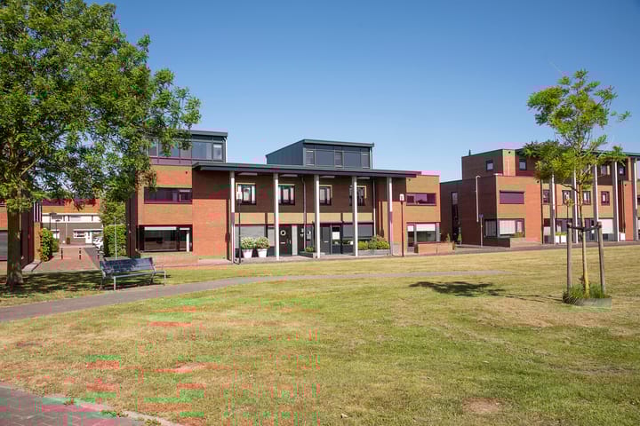 Foto 46 van Kokerjuffer 15